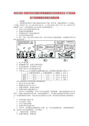 2019-2020年高中歷史專題六羅斯福新政與當(dāng)代資本主義1“自由放任”的美國課后訓(xùn)練人民版必修.DOC