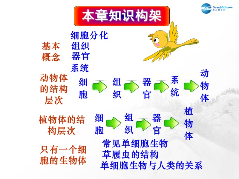 人教初中生物七上《第2单元 第2章 细胞怎样构成生物体》PPT课件 (4)_第3页