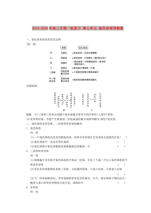 2019-2020年高三生物一輪復(fù)習(xí) 第七單元 染色體變異教案.doc