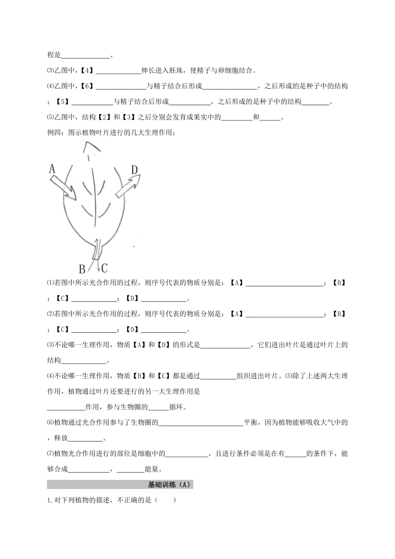 2019-2020年中考生物一轮复习 专题二 生物圈中的绿色植物学案.doc_第3页