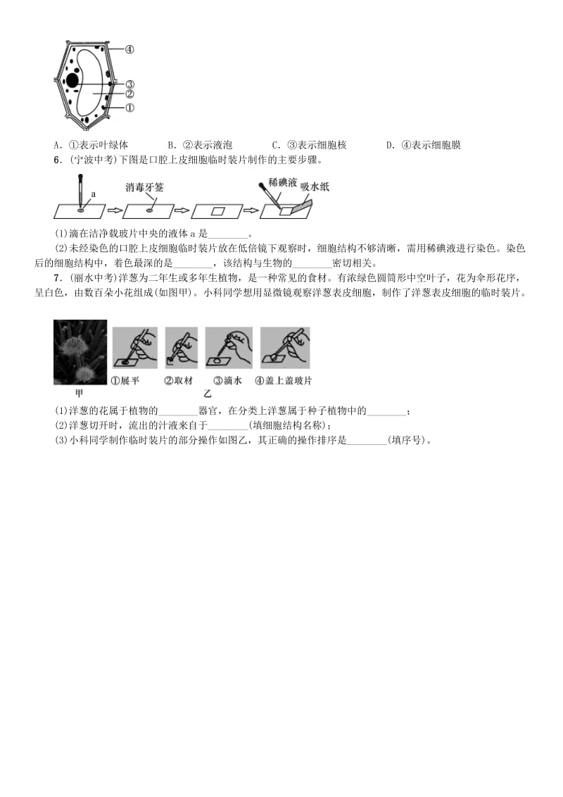 七年级科学上册 第2章 观察生物章末复习（一）习题 （新版）浙教版.doc_第3页