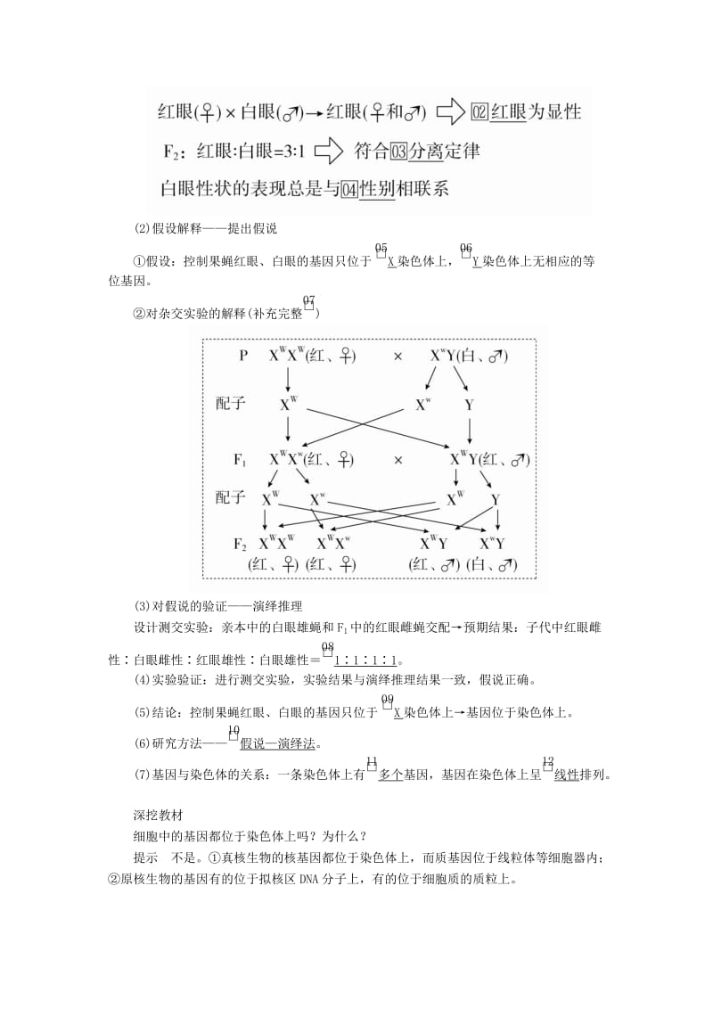 2020年高考生物一轮复习 第5单元 遗传的基本规律与伴性遗传 第16讲 基因在染色体上和伴性遗传学案（含解析）（必修2）.doc_第2页