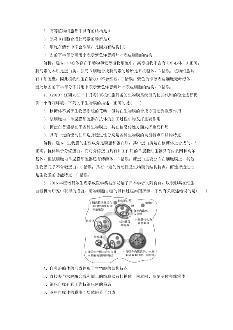 人教通用版2020版高考生物新探究大一轮复习第6讲细胞器--系统内的分工合作检测含解析.doc_第2页