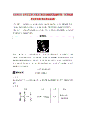 2019-2020年高中生物 第五章 基因突變及其他變異 第2節(jié) 染色體變異教學(xué)案 新人教版必修2.doc