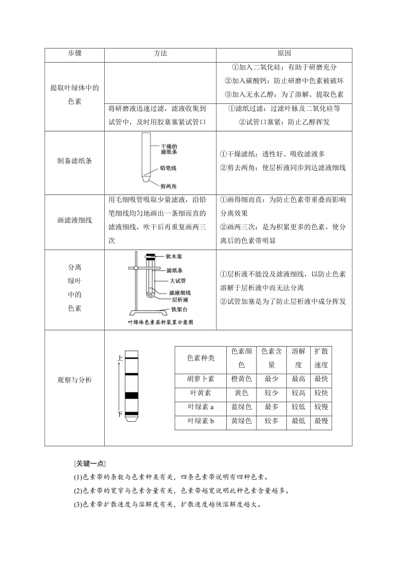 2019-2020年高中生物北师大版必修一教学案：第5章 第3节 第1课时 叶绿体中的色素(含答案).doc_第3页