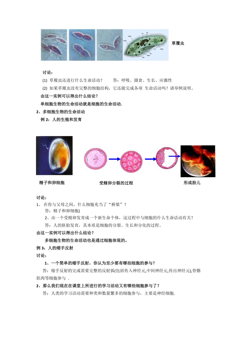 2019-2020年人教版高中生物必修1 1-1从生物圈到细胞教案1.doc_第2页