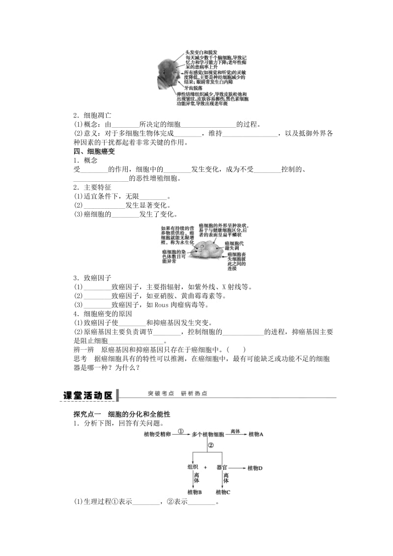 2019-2020年高考生物一轮复习16 细胞的分化、衰老、凋亡和癌变 新人教版.doc_第2页