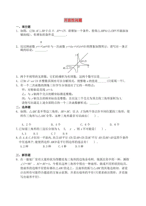 中考數(shù)學專題復習 開放性問題復習當堂達標題 （新版）新人教版.doc