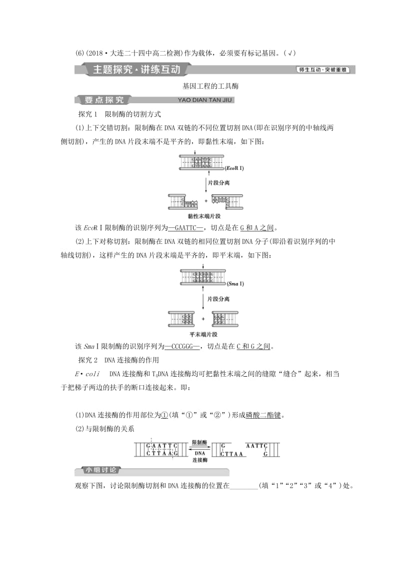 2019年春高中生物 专题1 基因工程 1.1 DNA重组技术的基本工具学案（含解析）新人教版选修3.doc_第3页