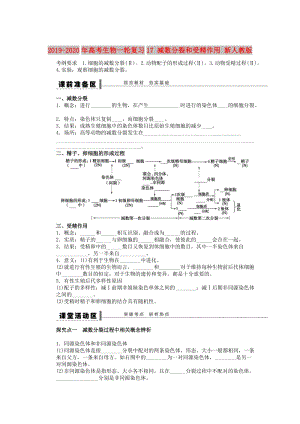 2019-2020年高考生物一輪復(fù)習(xí)17 減數(shù)分裂和受精作用 新人教版.doc