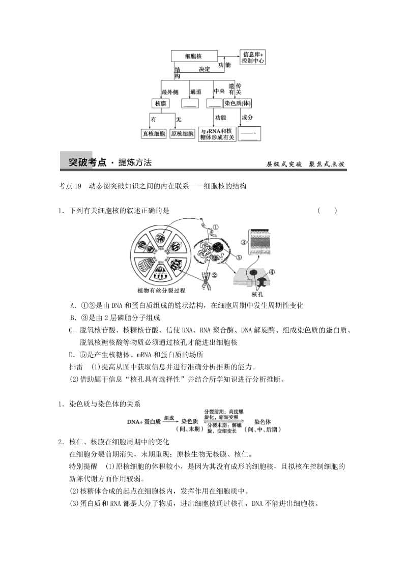 2019-2020年高三生物一轮复习 第二单元 细胞核—系统的控制中心教案.doc_第2页