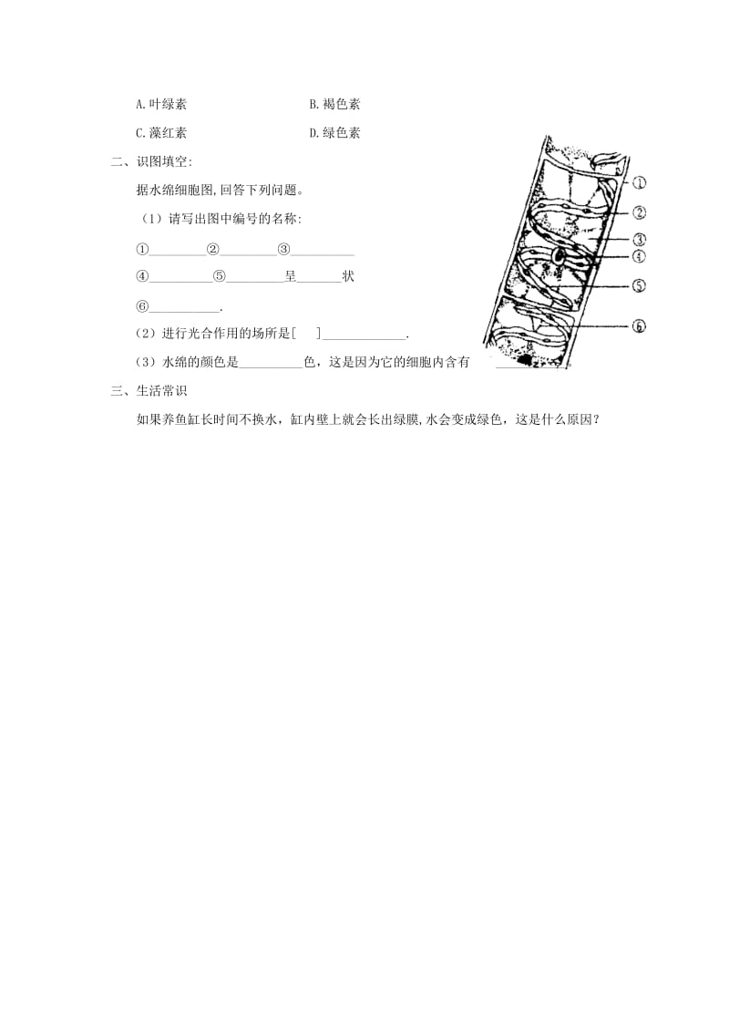 七年级生物上册 2.1.1《绿色植物的主要类群》第一课时导学案（新版）济南版.doc_第3页