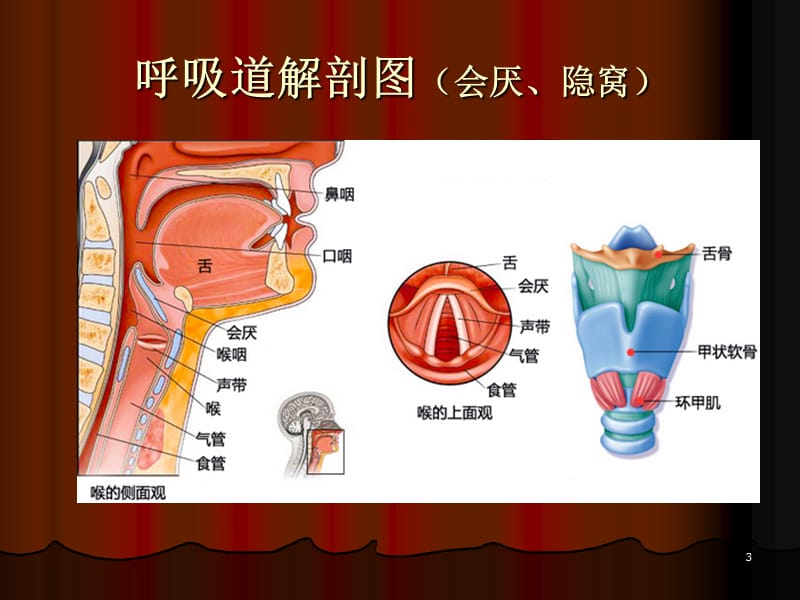 小儿气管插管的护理配合ppt课件_第3页