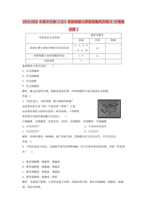 2019-2020年高中生物 1-2-3真核細(xì)胞與原核細(xì)胞同步練習(xí) 中圖版必修1.doc