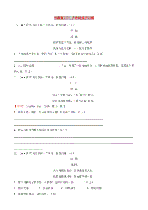 （菏澤專版）2019中考語(yǔ)文 專題復(fù)習(xí)二 古詩(shī)詞賞析習(xí)題.doc