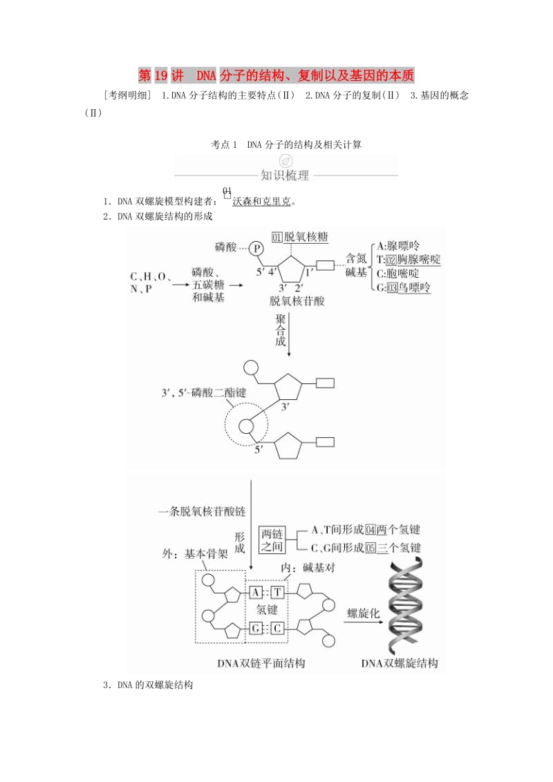 2020年高考生物一轮复习 第6单元 遗传的物质基础 第19讲 DNA分子的结构、复制以及基因的本质学案（含解析）（必修2）.doc_第1页