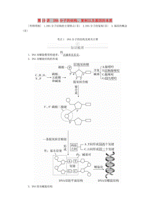 2020年高考生物一輪復(fù)習(xí) 第6單元 遺傳的物質(zhì)基礎(chǔ) 第19講 DNA分子的結(jié)構(gòu)、復(fù)制以及基因的本質(zhì)學(xué)案（含解析）（必修2）.doc