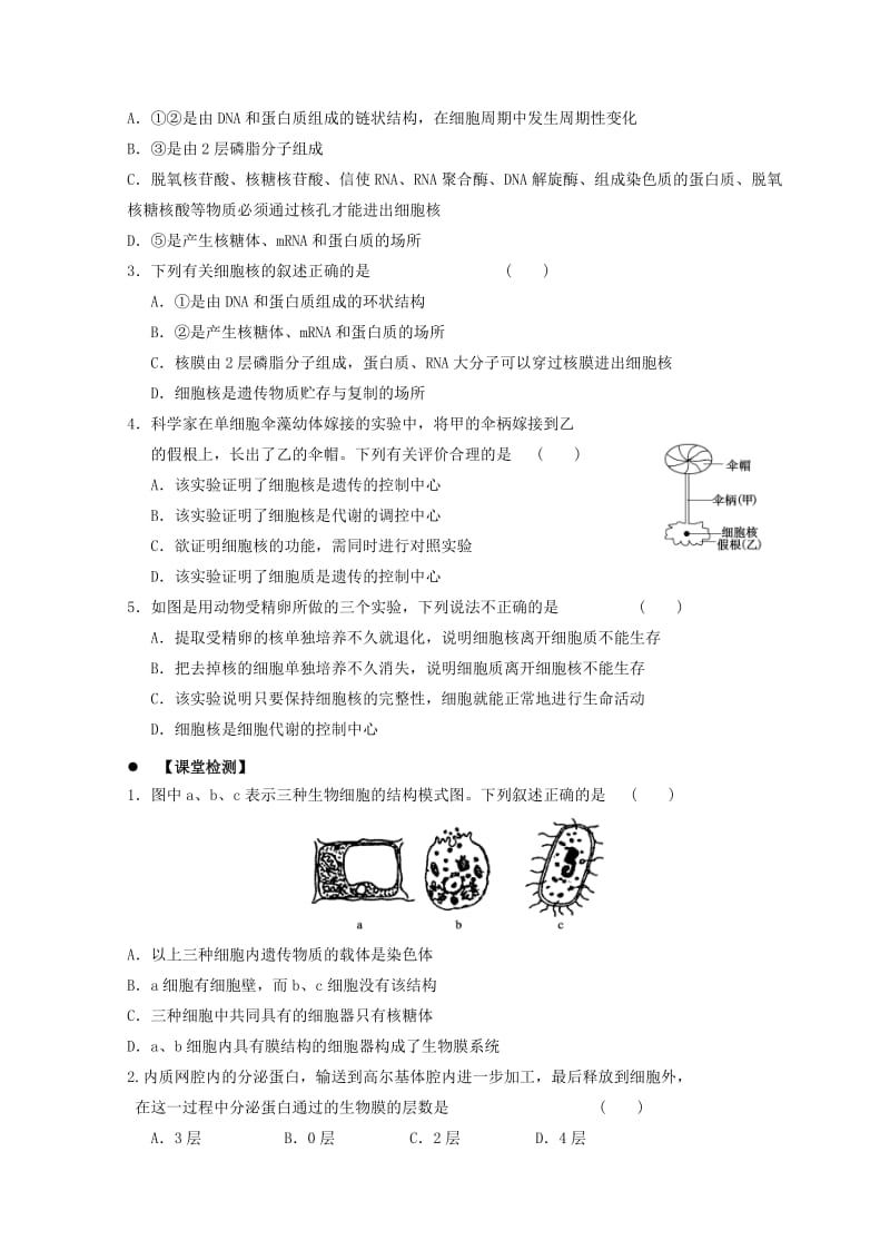 广东省惠州市2019年高考生物总复习 3-3 细胞核学案.doc_第3页