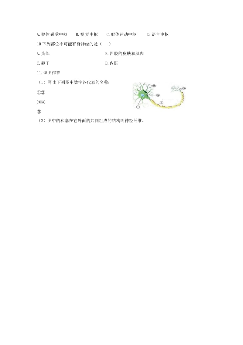 七年级生物下册 4.6.2《神经系统的组成》导学案（新版）新人教版.doc_第3页