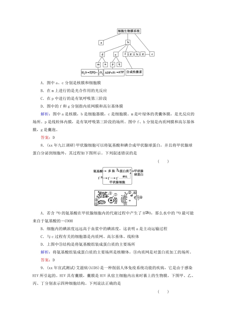 2019-2020年高考生物一轮复习 第3章第2讲 细胞器——系统内的分工合作.doc_第3页