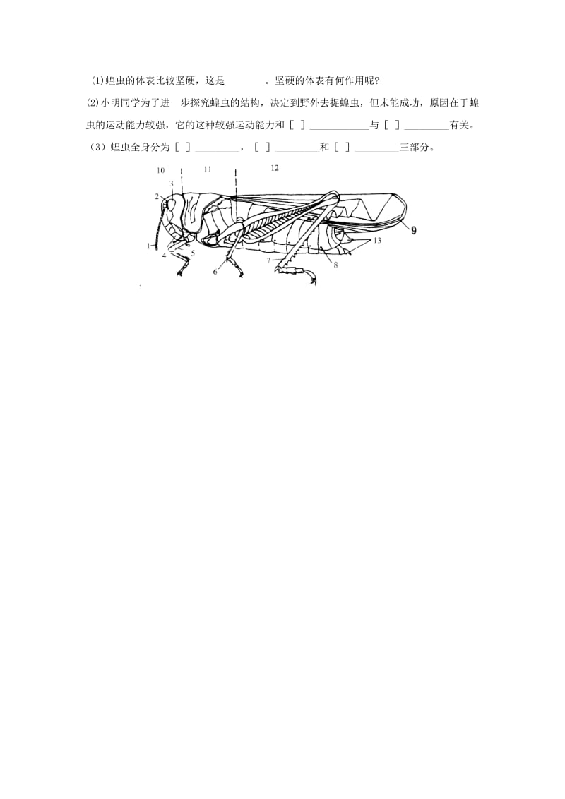 七年级生物上册 2.2.1《无脊椎动物的主要类群》第二课时导学案（新版）济南版.doc_第3页