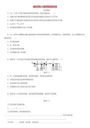 湖南省中考化學復習 課時訓練2 碳和碳的氧化物練習.doc