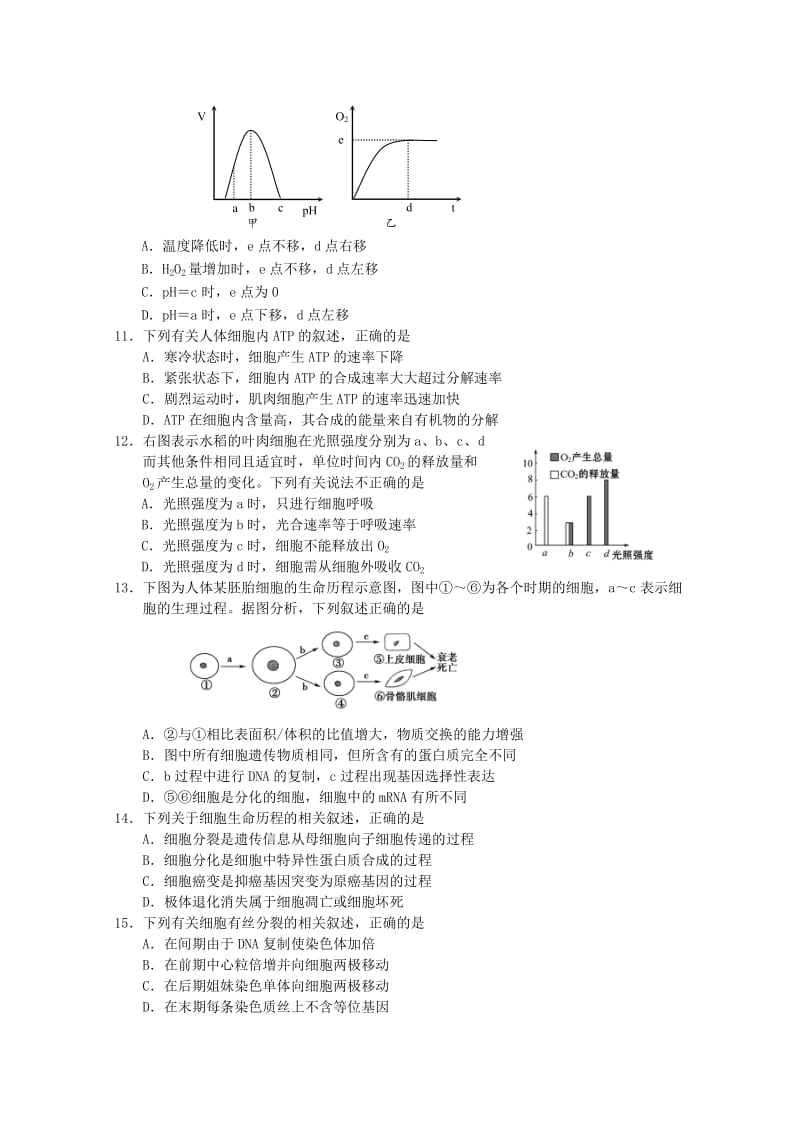 2019-2020年高二生物上学期期末考试新人教版.doc_第2页