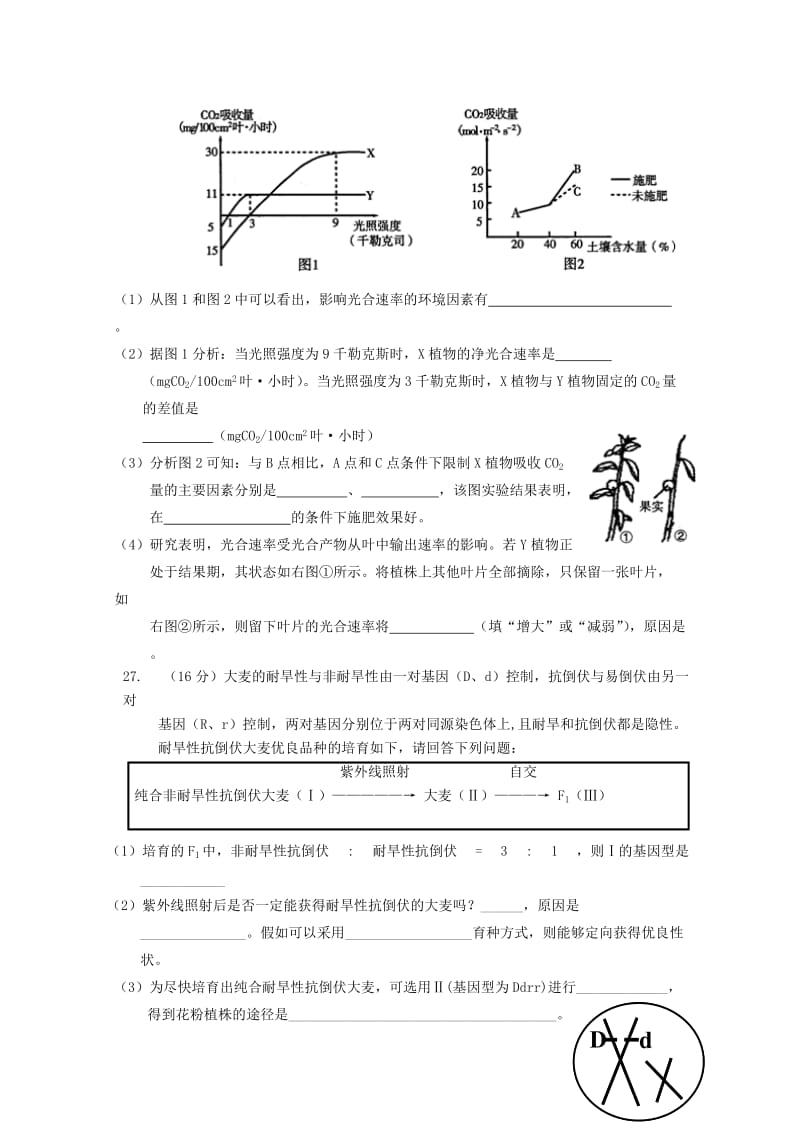 2019-2020年高三生物 综合模拟题（9） 理.doc_第3页