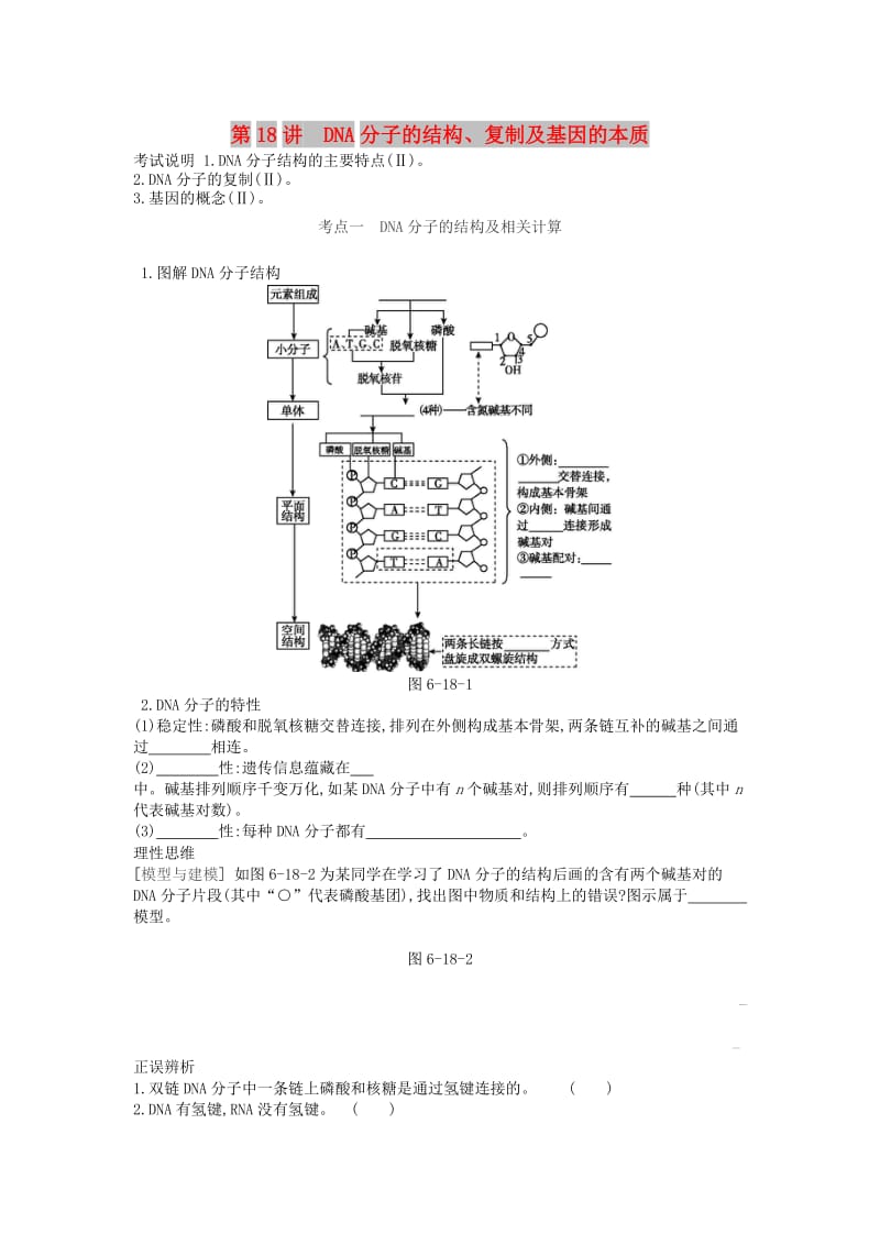 2019版高考生物一轮复习 第6单元 遗传的分子基础 第18讲 DNA分子的结构、复制及基因的本质学案 苏教版.doc_第1页