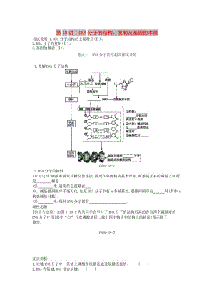 2019版高考生物一輪復習 第6單元 遺傳的分子基礎 第18講 DNA分子的結(jié)構(gòu)、復制及基因的本質(zhì)學案 蘇教版.doc