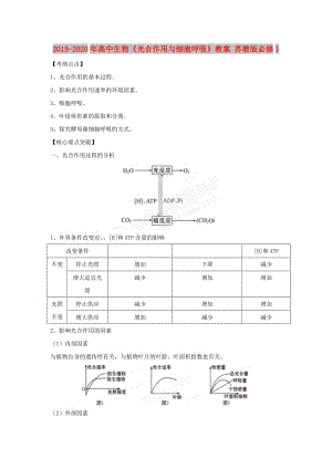 2019-2020年高中生物《光合作用與細胞呼吸》教案 蘇教版必修1.doc