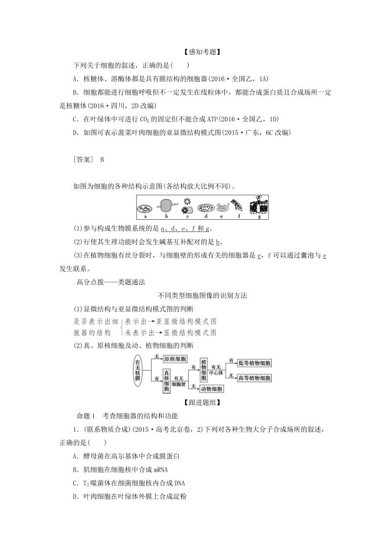 2019高考生物一轮复习 第06讲 细胞器——系统内的分工合作教案 新人教版必修1.doc_第3页