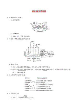 2019年高考生物 考點(diǎn)一遍過 考點(diǎn)19 光合作用（含解析）.doc