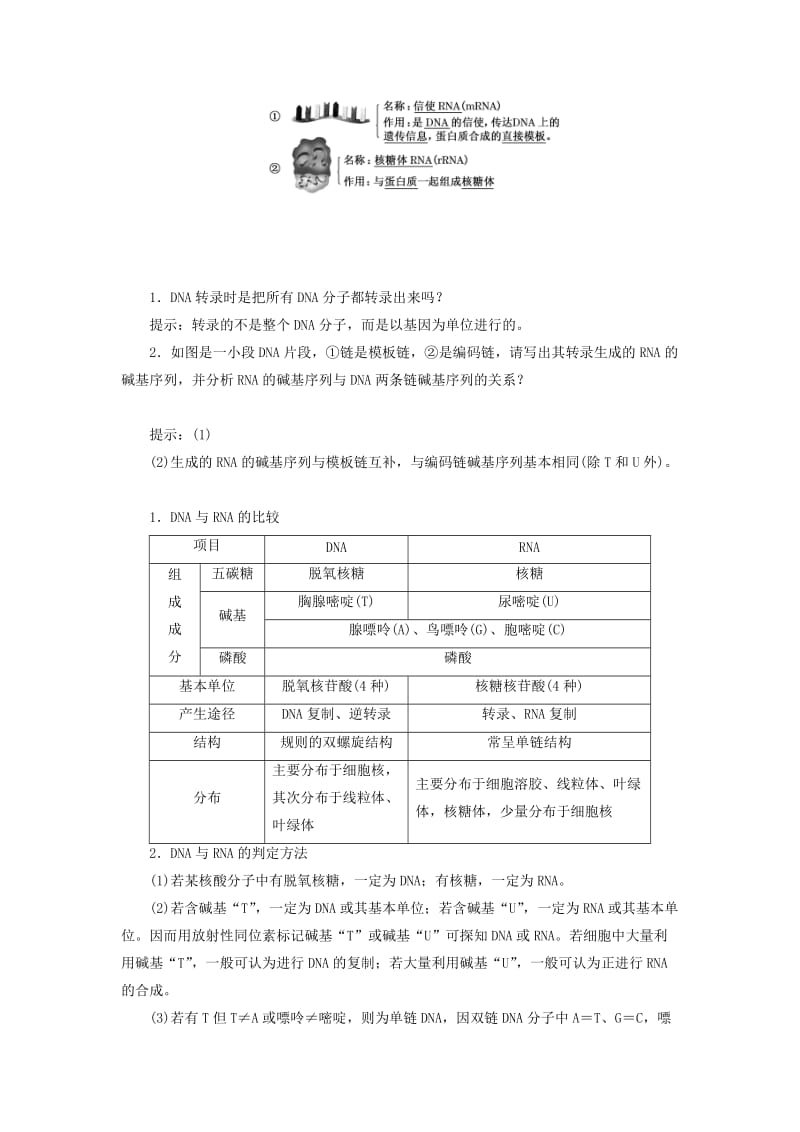 2018-2019年高中生物 第三章 遗传的分子基础 第四节 遗传信息的表达——RNA和蛋白质的合成教学案 浙科版必修2.doc_第3页