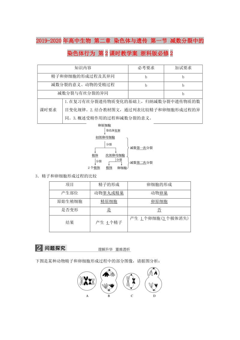 2019-2020年高中生物 第二章 染色体与遗传 第一节 减数分裂中的染色体行为 第2课时教学案 浙科版必修2.doc_第1页