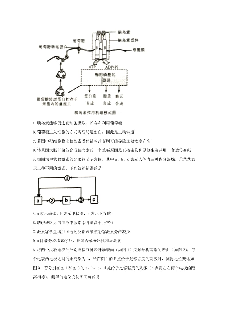 2017-2018学年高二生物10月月考试题 (II).doc_第2页