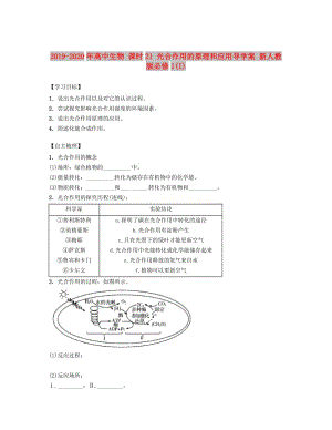 2019-2020年高中生物 課時(shí)21 光合作用的原理和應(yīng)用導(dǎo)學(xué)案 新人教版必修1(I).doc