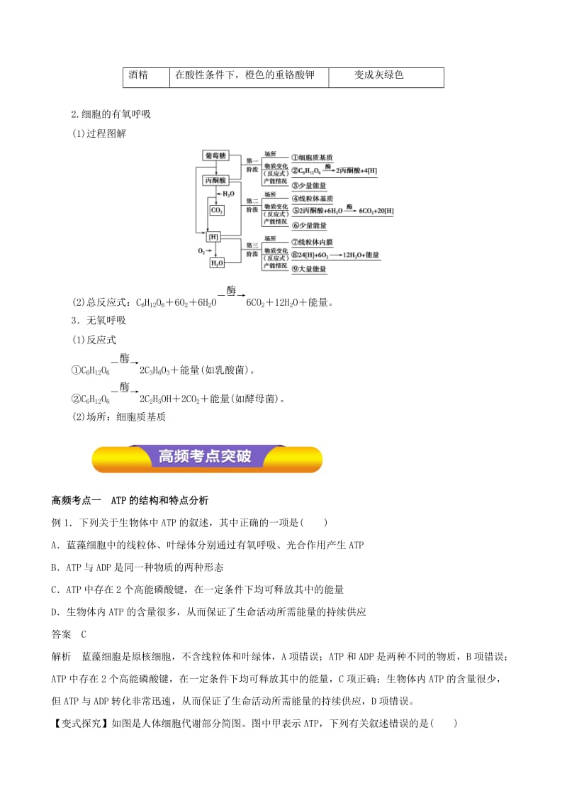 2019年高考生物一轮复习 专题3.2 ATP与细胞呼吸教学案.doc_第2页