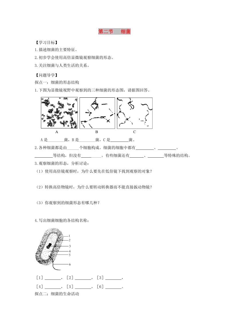 七年级生物上册 2.3.2《细菌》导学案3（新版）济南版.doc_第1页