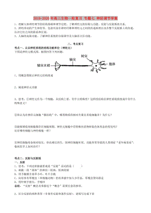 2019-2020年高三生物一輪復(fù)習(xí) 專題七 神經(jīng)調(diào)節(jié)學(xué)案.doc