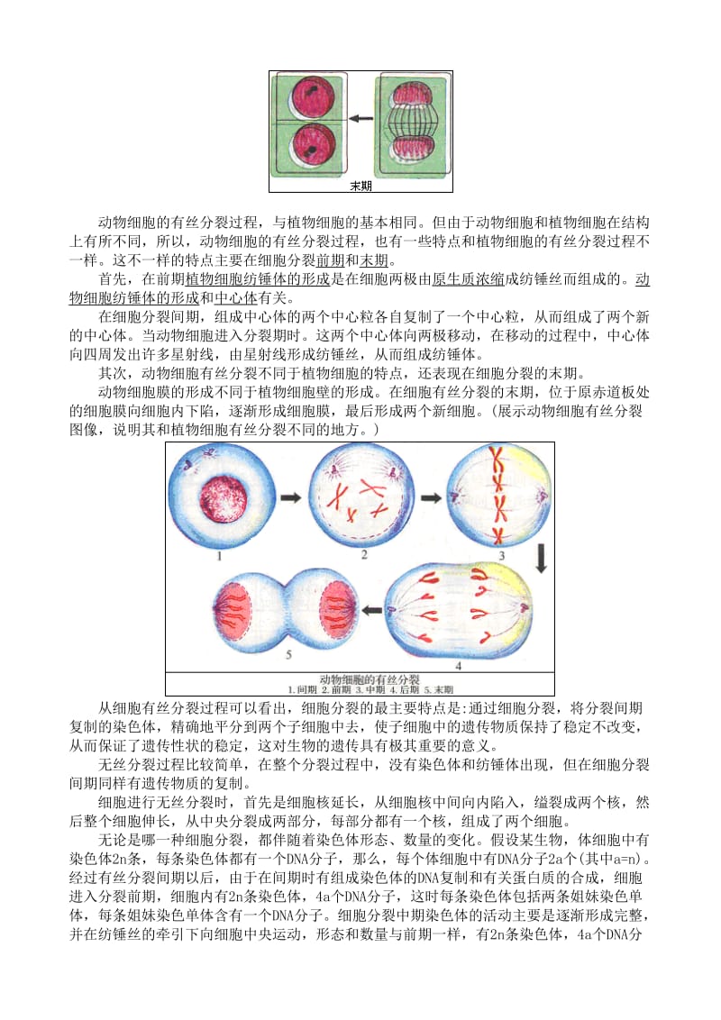 2019-2020年高中生物细胞的增殖教案(I)人教版必修1.doc_第2页