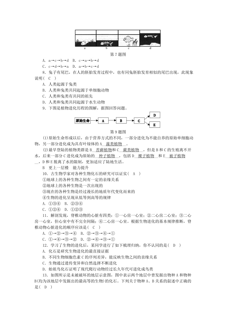 九年级科学下册 第1章 演化的自然 第4节 生物的进化 第1课时 生物进化的证据-化石练习 浙教版.doc_第2页