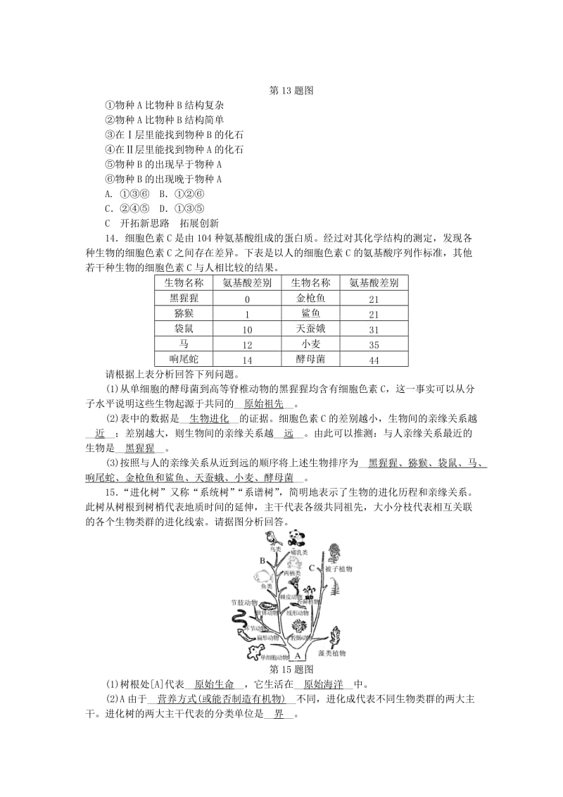 九年级科学下册 第1章 演化的自然 第4节 生物的进化 第1课时 生物进化的证据-化石练习 浙教版.doc_第3页