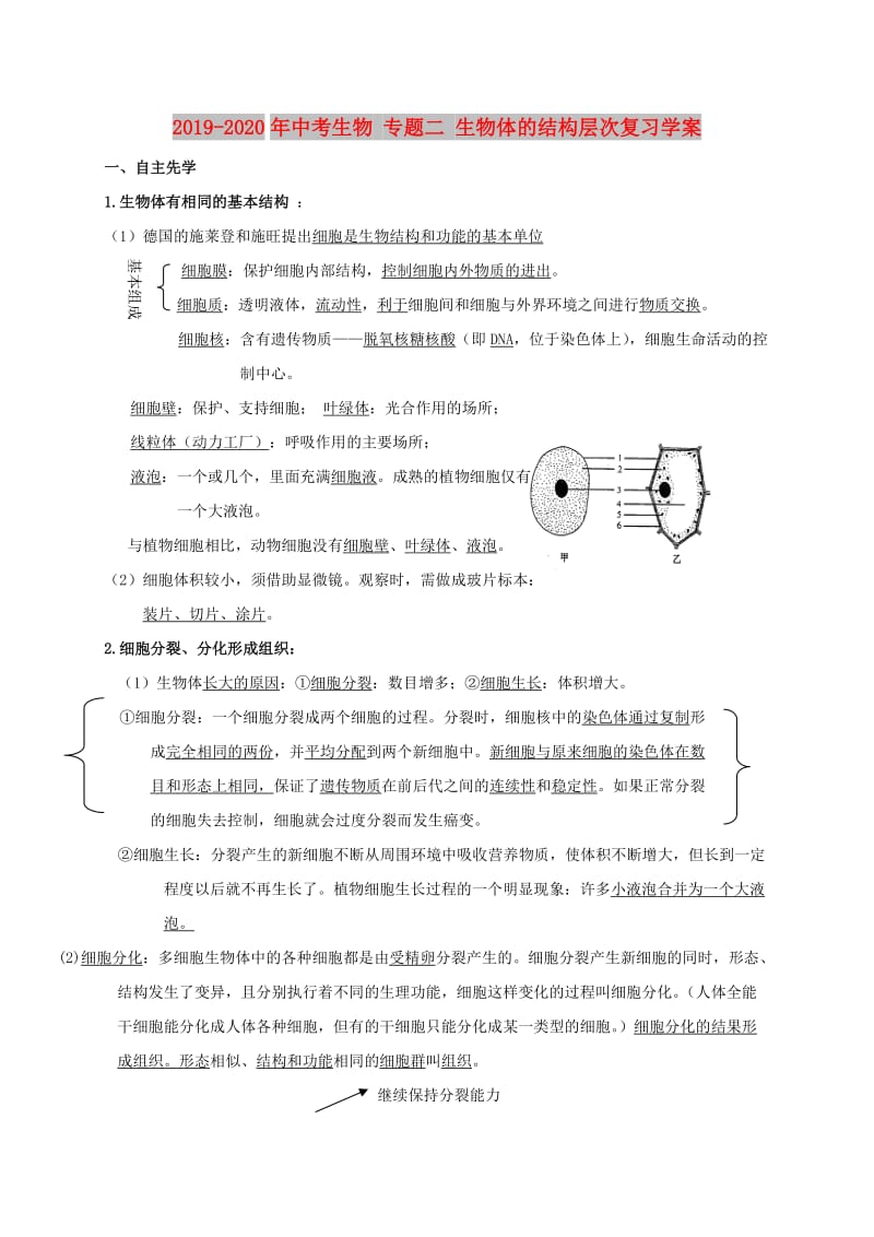 2019-2020年中考生物 专题二 生物体的结构层次复习学案.doc_第1页