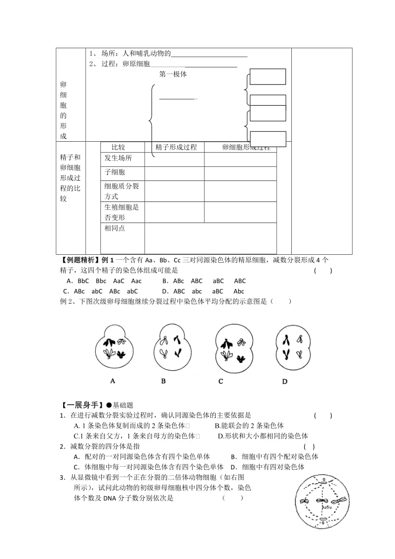 2019-2020年《减数分裂和受精作用》WORD教案之一.doc_第2页