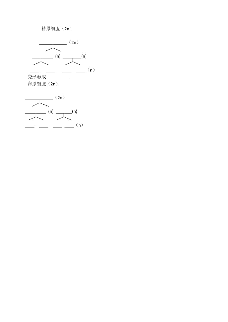 2019-2020年高中生物《2.1 减数分裂中的染色体行为》学案 浙教版必修2.doc_第2页