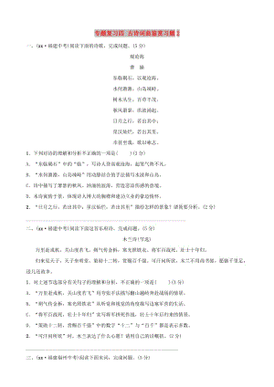 福建省2019年中考語文 專題復(fù)習(xí)四 古詩詞曲鑒賞習(xí)題2.doc