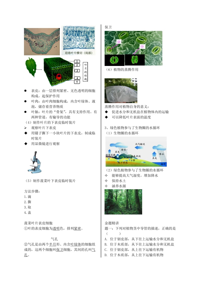 江苏省大丰市七年级生物上册 第18讲 绿色植物与生物圈的水循环讲义 苏教版.doc_第2页
