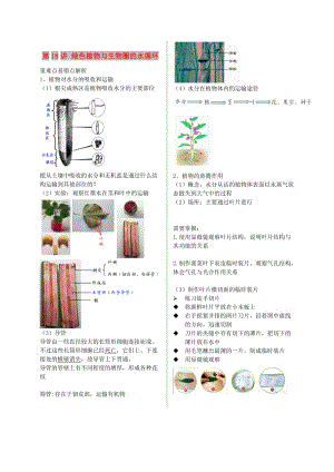 江蘇省大豐市七年級(jí)生物上冊(cè) 第18講 綠色植物與生物圈的水循環(huán)講義 蘇教版.doc