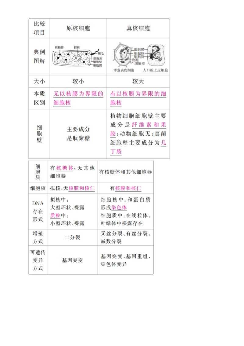 2019高考生物一轮复习 第1讲 走近细胞讲练结合学案.doc_第2页